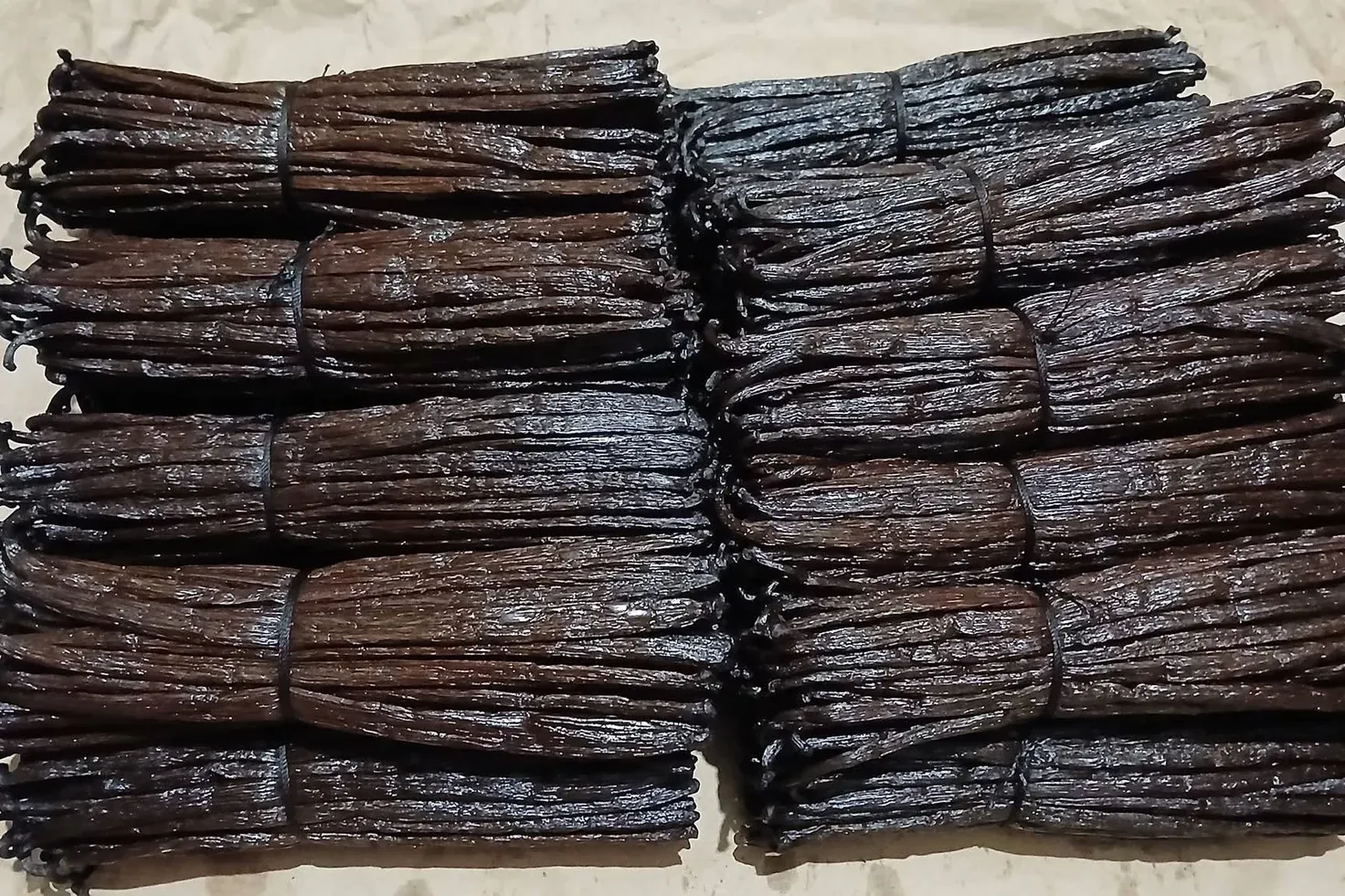 Bundles of graded cured vanilla pods, tied and laid out for packing.